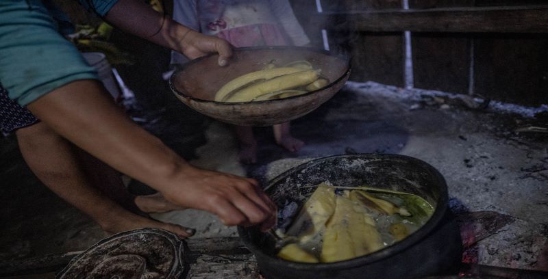 Seguridad alimentaria y medios de vida sostenible en la Amazonía 