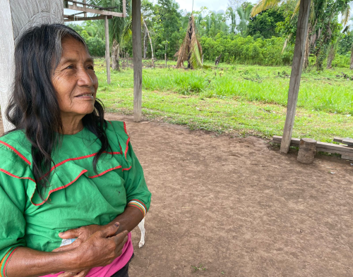 Seguridad alimentaria y medios de vida sostenible en la Amazonía 