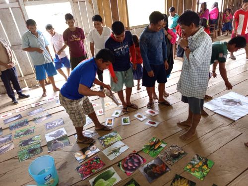 Sustainable agroforestry systems and self-organization in communities of the Urarina people , Loreto – Peru