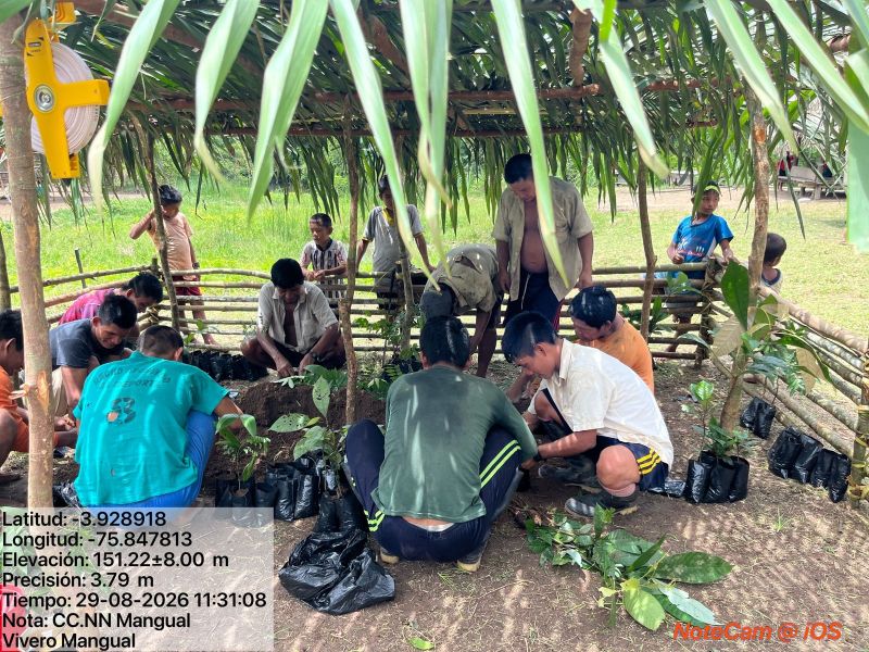 Sustainable agroforestry systems and self-organization in communities of the Urarina people , Loreto – Peru