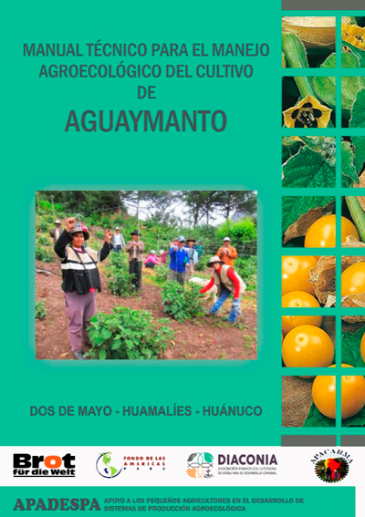 Cultivo de Aguaymanto con técnicas agroecológicas